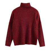 Turtleneck pullover top
