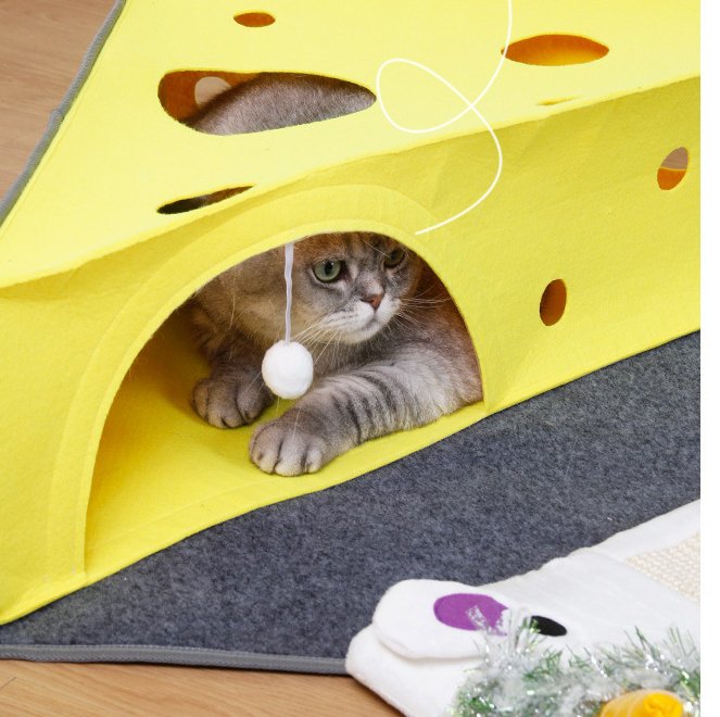 Cat Supplies Cheese Folding Tunnel Nest - Muhaab