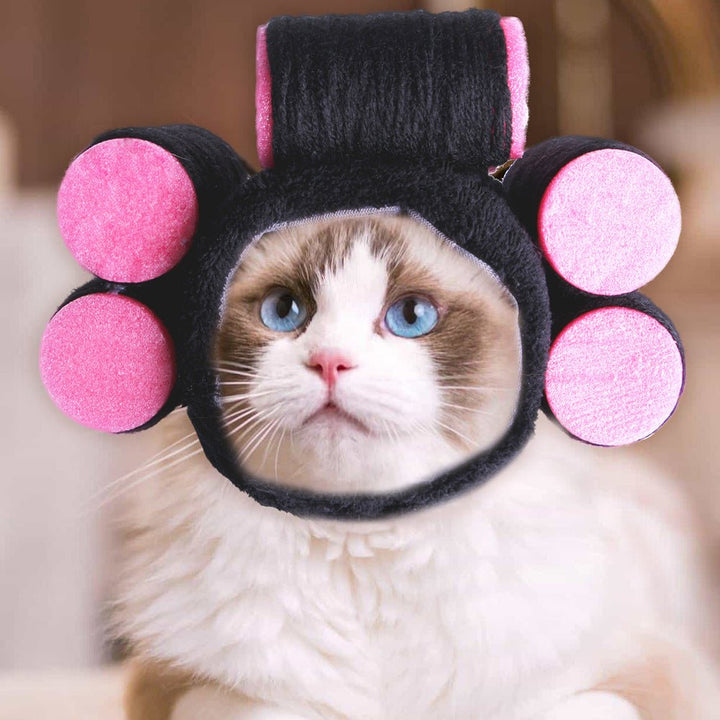 Curly Hair Pet Hat Cat Funny Dress Up Pet Products - Muhaab