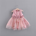 Fashion Baby Girl Three-dimensional Embroidered Dress - Muhaab