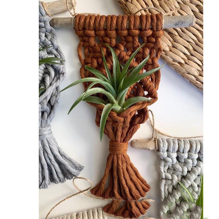 Home Decor Mini Macrame Plant Hangers For Air Plant - Muhaab