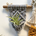 Home Decor Mini Macrame Plant Hangers For Air Plant - Muhaab