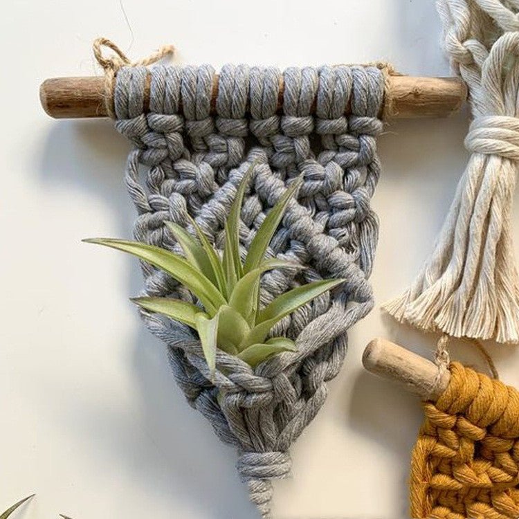 Home Decor Mini Macrame Plant Hangers For Air Plant - Muhaab