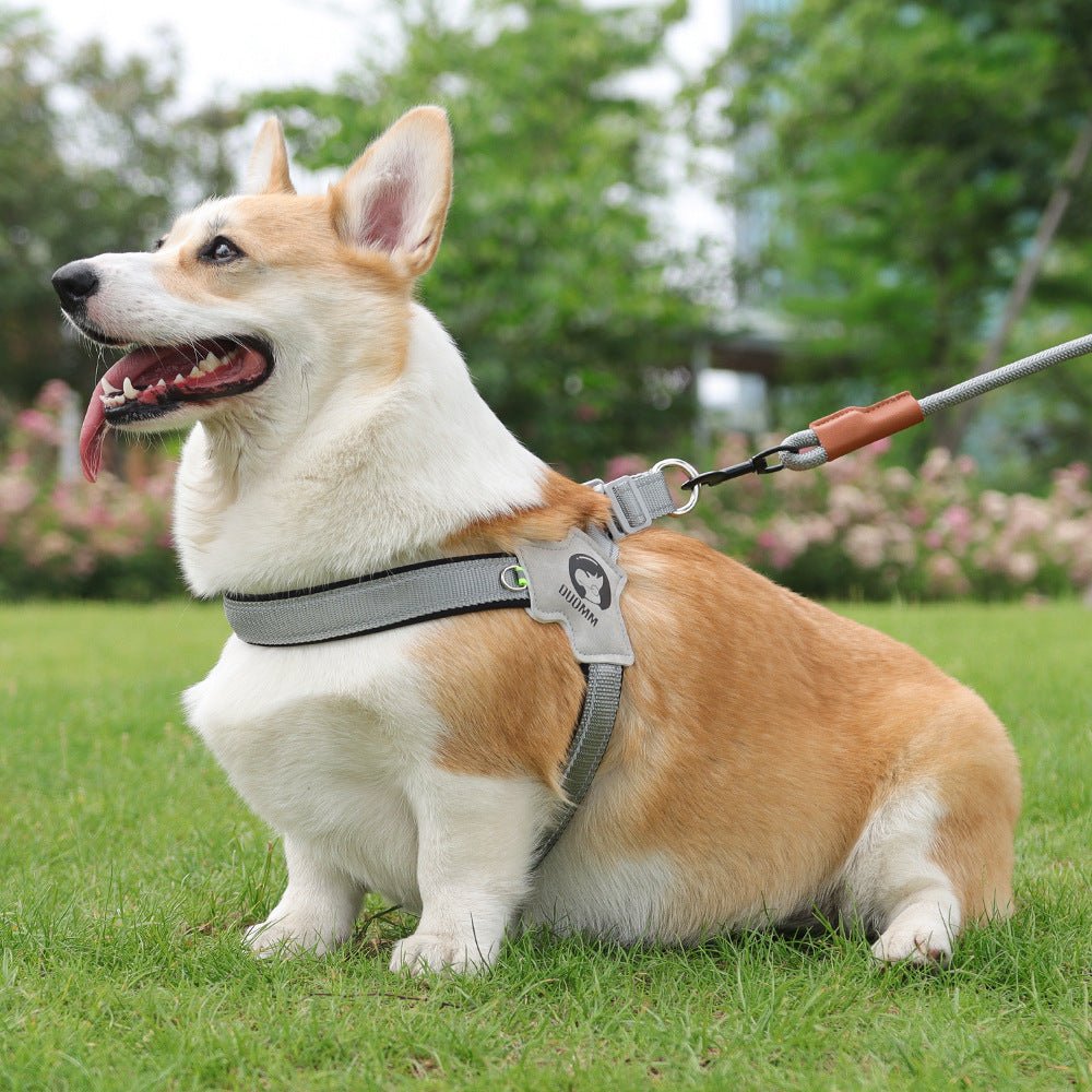 New Dog Breast Strap Saddle Pet Harness Breathable Reflective Dog Suspenders Pet Hand Holding Rope Wholesale - Muhaab