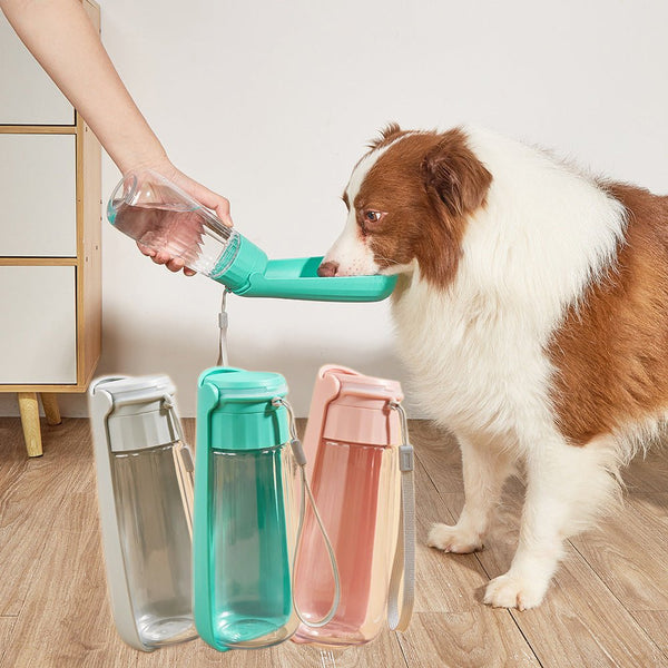 Pet Cups Outdoor Portable Folding - Muhaab