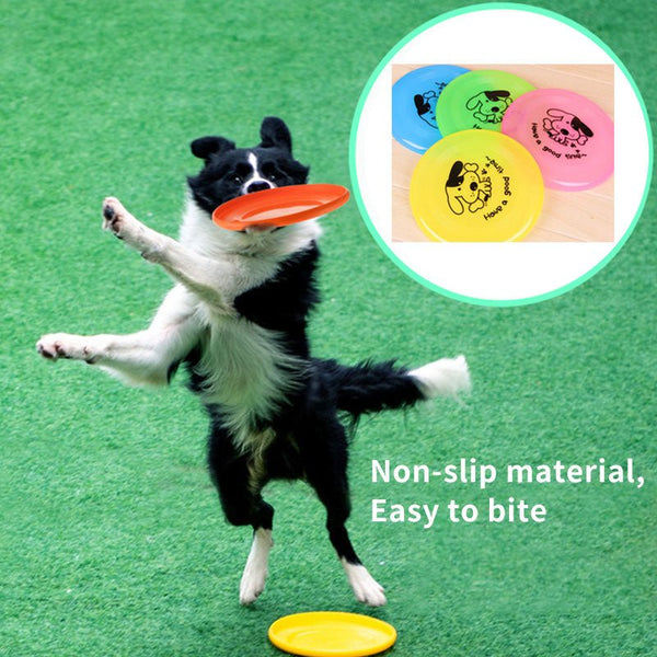 Pet Supplies Dog Outdoor Interactive Toys - Muhaab